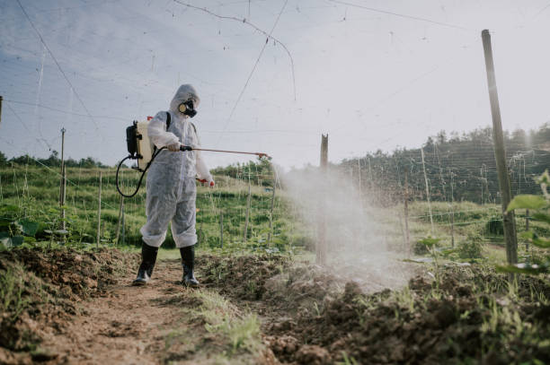 Bird Control in Mannington, WV